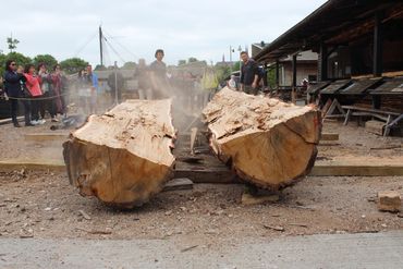 Exactly 50 minutes after the first blow of the hammer, the log cleaves in two.