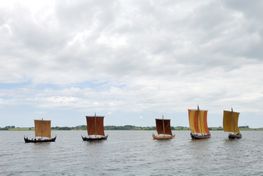 De fem rekonstruktioner af Skuldelevskibene sejler fredeligt rundt på Roskilde Fjord. 