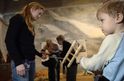 Børn i alle aldre kan knytte bånd i vinterferien på Vikingeskibsmuseet. Foto Werner Karrasch