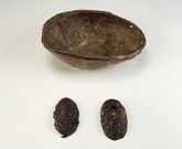 Ovale spænder og en skål fundet ved Ballyholme, Bangor, Co. Down. © The National Museum of Ireland.