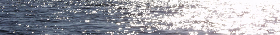 udsigt fra Havhingsten, sol på havet. 