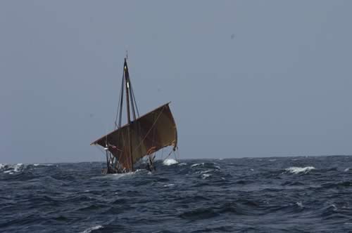 Havhingsten har været i kuling før... Foto: Werner Karrasch