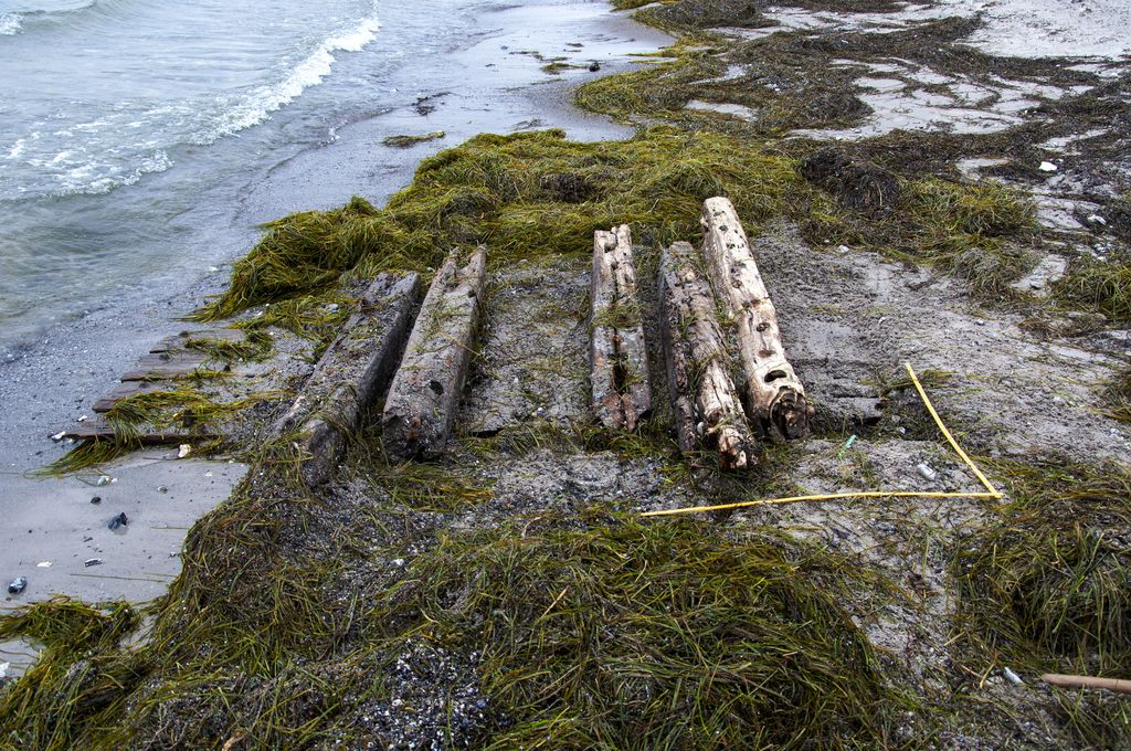 I 2013 modtog Vikingeskibsmuseet en anmeldelse af fundet af en større vragdel i strandkanten syd for Mosede Fort.  Der var tale om en ca. 2x3 m stor vragdel bestående af fem spantelementer fastgjort med trænagler på syv klædningsplanker, alt af fyrretræ. En sandsynlig datering er1800-tallet, og marinarkæologerne mener, at skibsdelen stammer fra et kendt skibsvrag, der ligger i nærheden.