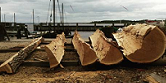 Follow the boatbuilders, read the gislinge blog.