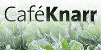 café Knarr laver mad efter principperne i Ny Nordisk Vikingemad.