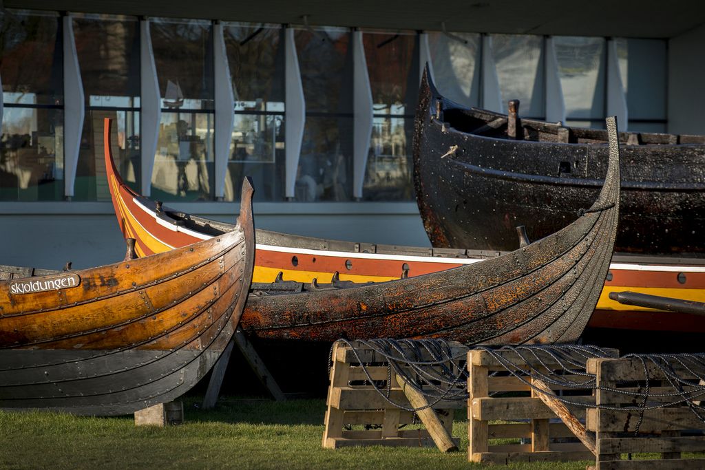Vikingeskibsmuseets bådsamling ligger på land for vinteren foran Vikingeskibshallen. Copyright, Vikingeskibsmuseet.