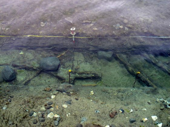 Velbevarede hasselstager og sten, der engang for 6-7.000 år siden har udgjort en del af et fangstsystem. Foto: Jørgen Dencker