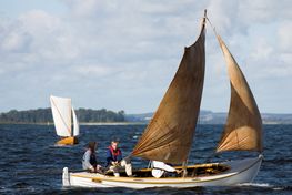 Sejlads i nordiske træbåde på Roskilde Fjord