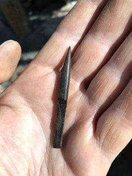 På bopladsen under vandet i Guldborgsund fandt arkæologerne også to nåle, lavet af knoglemateriale, der er optimale til syning i skind, og de har sandsynligvis været brugt til at fremstille klædedragter.