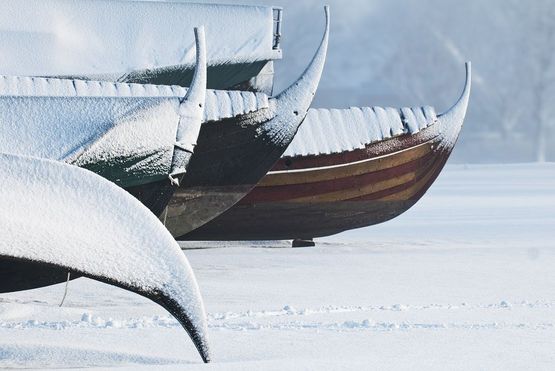 Vikingeskibsmuseets bådsamling ligger på land indtil foråret. 