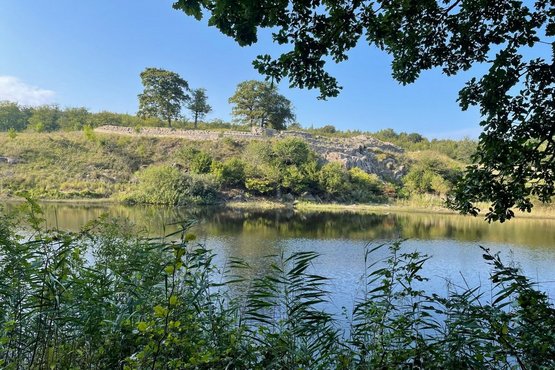 Borgruinen Lilleborg i Almindingen, Bornholm Borgruinen Lilleborg i Almindingen, Bornholm