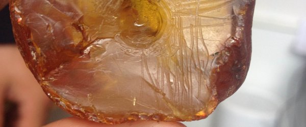 Et af de mest opsigtsvækkende fund fra undersøgelsen i Storstrømmen, er denne ravklump, hvor der er påbegyndt forarbejdning til en ravamulet med hul i. Ravamuletten, der er stor som et hønseæg, blev aldrig gjort færdig. Hvorfor får vi nok aldrig s Et af de mest opsigtsvækkende fund fra undersøgelsen i Storstrømmen, er denne ravklump, hvor der er påbegyndt forarbejdning til en ravamulet med hul i. Ravamuletten, der er stor som et hønseæg, blev aldrig gjort færdig. Hvorfor får vi nok aldrig s