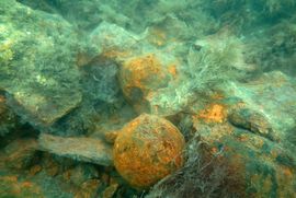 Der er fundet kanonkugler i 4 forskellige størrelse til skibets kanoner, sprængstykker af kanoner og musketkugler. Foto: Morten Johansen / Vikingeskibsmuseet i Roskilde 