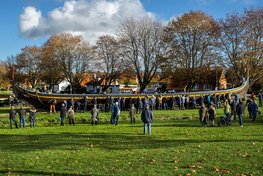 Det kræver mange mennesker og et godt samarbejde, når museets skibe skal på land for vinteren. Det kræver mange mennesker og et godt samarbejde, når museets skibe skal på land for vinteren. Copyright: Vikingeskibsmuseet i Roskilde