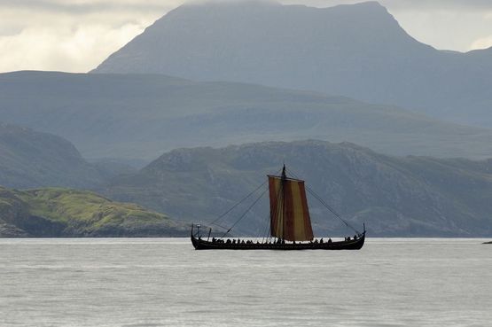 Havhingten fra Glendaloughpå sit togt til Dublin i 2007