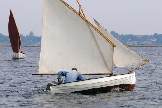 Træf Fjordens Træbåde i Roskilde Museumshavn i august 2024