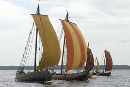 Anledningen er 50 året for udgravningen af de fem Skuldelevskibe - her ses alle fem rekonstruktioner. Foto Werner Karrasch