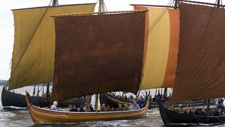 Du kan både findeVikingeskibsmuseet bådesamling i Museumshavnen og her på hjemmesiden.  