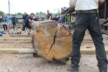 Asger and Martin begin to rock the log from side to side at the root end, while Birger cuts through the last stubborn fibres with the froe. 