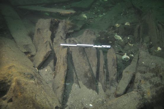 Flere steder i skibsvraget støder marinarkæologerne på dele fra tønder. Her ses en samling tøndestave. Foto: Morten Johansen, Vikingeskibsmuseet.