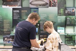 Besøg Marinarkæologernes Værksted i sommerferien. Copyrigt: vikingeskibsmuseet i Roskilde.