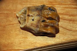 Mellem det velbevarede knoglemateriale finder vi stykker med spor af bearbejdning. Ledenden af skinnebenet fra en kronhjort med tydelige skæremærker fra en flintkniv. Den lange, lige del af knoglen har været anvendt som råmateriale til benredskaber s Mellem det velbevarede knoglemateriale finder vi stykker med spor af bearbejdning. Ledenden af skinnebenet fra en kronhjort med tydelige skæremærker fra en flintkniv. Den lange, lige del af knoglen har været anvendt som råmateriale til benredskaber s