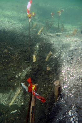 Pælene er resterne af et fiskesystem - et såkaldt fiskegærde - der stammer fra bondestenalderen, ca. 3000 år før vor tid.    