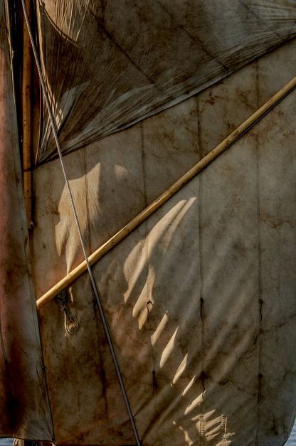 Foto: Werner Karrasch