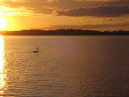 Smuk sejlads gennem Roskilde Fjord
