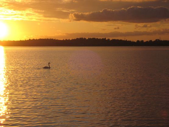 Smuk sejlads gennem Roskilde Fjord
