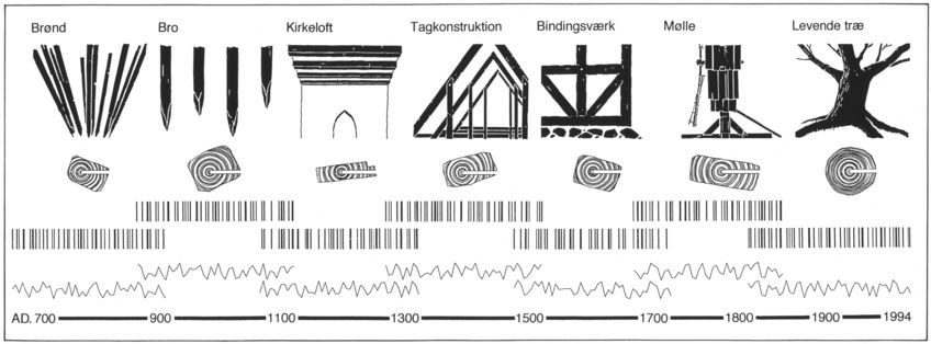 The principle of dendrochronology (National Museum's Dept. of Environmental Archaeology)