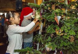 Juletræet pyntes af 3.C fra Absalon Skole i Roskilde