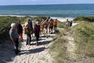 Helge Ask's crew explores the Anholt island