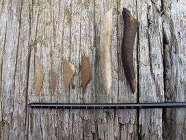 Stenaldermenneskene brugte også redskaber lavet af ben. Her ses forskellige benspidser og trykstok af gevir (længst til højre), der blev anvendt til at lave lange flækker af flint. Foto: Jørgen Dencker