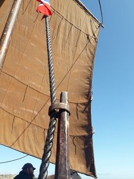 Vi har testet sejlet evner til at krydse mod vinden på gps'en, og vi kan gå 62 grader til vinden. Selv om sejlet er optimeret, krydser Skjoldungen ikke, som en moderne sejlbåd. Hvis der er modstrøm eller, hvis vinden er så hård, at der må tage reb i sejlet, kan båden ikke vinde højde mod vinden (sejle mod vindretningen). Vi må, ligesom søfolkene for 1000 år siden, væbne os med tålmodighed - og bruge årerne! Foto: Torben Okkels