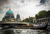 Havhingsten på Spree-floden, der løber gennem Berlins centrum, den 6. september 2014. Berliner Dom ses i baggrunden.