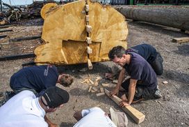 Cleaving of the oak trunk - Skuldelev 5