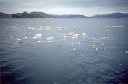 Testsejlads af den første rekonstruktion i 1988. Fotograf Hans Bjorgfjord.