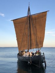 Ottar was built at the Viking Ship Museum in Roskilde in 2000 and this year's voyage was planned to go to Norway. The ship made it to s Marstrand from where they unfortunately returned before time. Photo: Annette Olesen