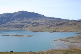 Vue mod nordboernes bispesæde Gadar. På begge øer i fjorden er der fundet store ruiner. Foto: Christian Koch Madsen