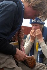 The night boxes were filled with dried and smoked pork, beef and lam. Photo: Werner Karrasch, The Viking Ship Museum