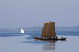 En stille aftenbrise bringer Vikingeskibsmuseets nordiske klinkbyggede træbåde frem for sejl eller årer på Roskilde Fjord.