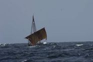 Havhingsten har været i kuling før... Foto: Werner Karrasch