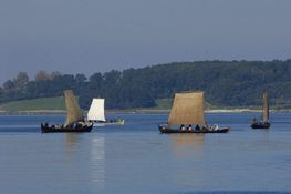 Sejlads på Roskilde Fjord med Vikingeskibsmuseets både