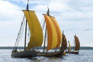 Vikingeskibsmuseets flåde af rekonstruktioner af Skuldelev skibene på Roskilde Fjord.
