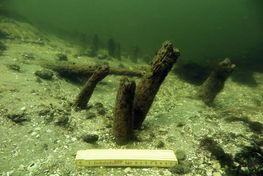 Arkæologerne fandt en undersøisk pæleskov, som viste sig at være et undersøisk forsvarsværk fra tiden omkring vikingetid og middelalder.