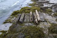 I 2013 modtog Vikingeskibsmuseet en anmeldelse af fundet af en større vragdel i strandkanten syd for Mosede Fort.  Der var tale om en ca. 2x3 m stor vragdel bestående af fem spantelementer fastgjort med trænagler på syv klædningsplanker, alt af fyrretræ. En sandsynlig datering er1800-tallet, og marinarkæologerne mener, at skibsdelen stammer fra et kendt skibsvrag, der ligger i nærheden.