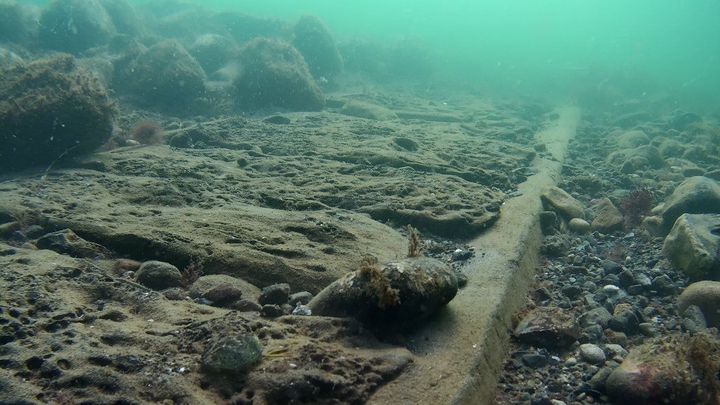 Læs alle rappaorter fra de marinarkæologiske undersøgelse foretaget af Vikingeskibsmuseet i Roskilde