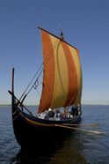 Havhingsten fra Glendalough under forsøgsrejsen 2007. Foto Werner Karrasch