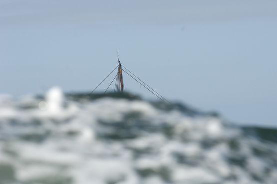 Foto: Werner Karrasch